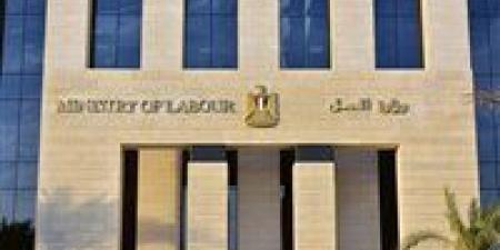 وزارة العمل تعلن عن 165 فرصة عمل متنوعة بمدينة بدر 2026