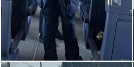 فوضى على خط برلين وميونخ.. سقوط كابل كهربائي يحتجز 600 راكب داخل قطار سريع