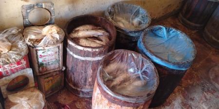 محافظ الجيزة: ضبط ١٢.٦ طن "فسيخ" ومقطعات لحوم ودواجن غير صالحة للاستهلاك الادمي