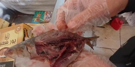 ضبط كميات كبيرة من الرنجة بلغت 2 طن و300 كجم مشتبه في صلاحيتها بالغربية