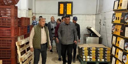 ضبط نصف طن أسماك مدخنة "رنجة" غير صالحة للإستهلاك الآدمي بالشرقية