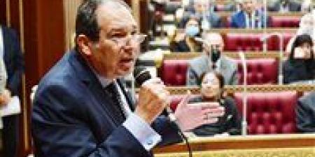 النائب حسام الخولي: أي مقترح من النواب لم يقدم رسميا إلى البرلمان لا يجب التعامل معه