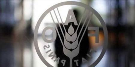 "الفاو" تؤكد استمرار دعمها للبنان لتعزيز الأمن الغذائي