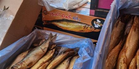 أفضل أماكن الخروج في شم النسيم 2026 وأسعارها (مواعيد الفتح والغلق)