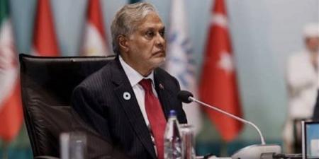 عاجل.. وزير الخارجية الباكستاني: سنواصل تسهيل الحوار بين أميركا وإيران