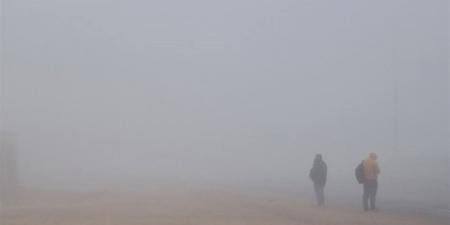 الأرصاد تحذر من الشبورة على السواحل الشمالية الغربية.. وانخفاض ملحوظ في الرؤية
