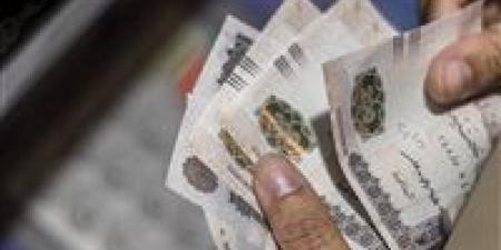 تفاصيل شراء شهادات الادخار في البنك الأهلي وبنك مصر خلال إجازات العيد