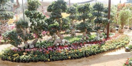 الدنيا ربيع والجو بديع