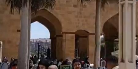 إقبال كبير من المواطنين على حديقة الأزهر للاحتفال بشم النسيم