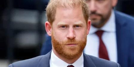 دعوى تشهير تضع الأمير هاري في مواجهة مؤسسته الخيرية