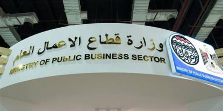 قطاع الأعمال العام.. كيف تنجح خطط التطوير في تحويل الخسائر إلى أرباح؟