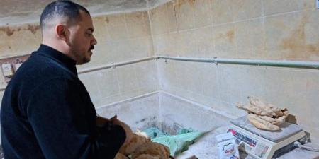 حملات تفتيش ميدانية على مخابز بسيون وتحرير 11 محضر تمويني