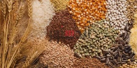 أسعار الحبوب ومكونات الأعلاف بالغربية اليوم الإثنين 13 إبريل 2026