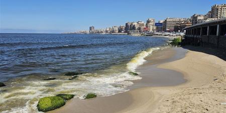 حالة الطقس هذا الأسبوع.. ارتفاع الرطوبة وتحسن الأجواء ليلا