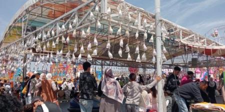 شم النسيم: أجواء احتفالية واسعة بالشرقية وإقبال كبير على الحدائق والمتنزهات