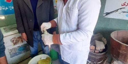 ضبط طن رنجة وفسيخ غير صالح للاستهلاك فى الغربية