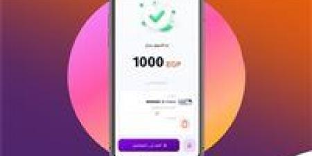 إنستا باي يحدد رسوم التحويل والاستعلامات الجديدة في مصر 2026 رسميًا