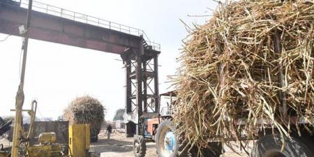 تلاعب بحصص الأسمدة في قنا وإحالة الواقعة إلي النيابة العامة