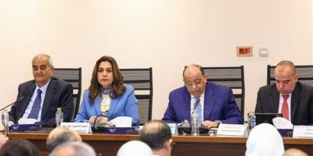 كيف يعيد قانون الإدارة المحلية الجديد تشكيل المحافظات والمجالس التنفيذية؟