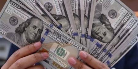 سعر الدولار في مصر تحت تأثير العوامل العالمية والمحلية
