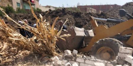 إزالة فورية للتعديات على الأراضي الزراعية بإطسا في الفيوم