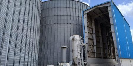 تجهيزات مكثفة ولجان متابعة.. انطلاق موسم توريد القمح بالإسكندرية