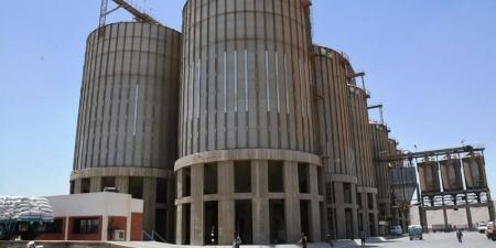 استعدادات مكثفة لموسم توريد القمح بسوهاج