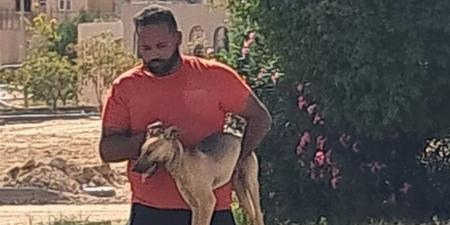 رئيس جهاز بدر يضع خطة متكاملة للحد من المخاطر الصحية ومنع انتشار الأمراض بين الكلاب