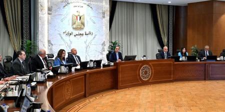 مدبولي: الحكومة تولي اهتمامًا بالغًا بتذليل أي تحديات لانطلاق مشروعي "رأس وشمس الحكمة"