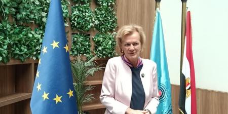 سفيرة الاتحاد الأوروبي تفتتح البرنامج التدريبي "المياه وقصص النيل" بنقابة الصحفيين