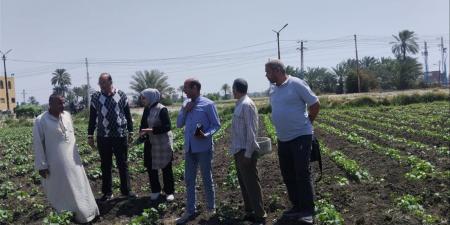 جولات إرشادية مكثفة لدعم مزارعي سنورس وتحسين إنتاجية المحاصيل الحقلية بالفيوم