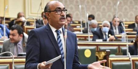 إيهاب منصور: قانون الإدارة المحلية يحتاج حوارًا مجتمعيًا شاملًا وتوافقًا دستوريًا قبل إقراره