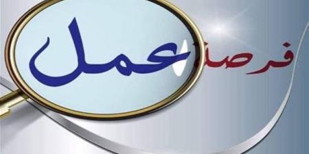 عاجل.. وزارة العمل تعلن عن 9430 وظيفة جديدة للشباب.. التفاصيل