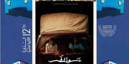 مهرجان الإسكندرية للفيلم القصير يعلن قائمة أفلام المسابقة العربية لنسخته الـ 12