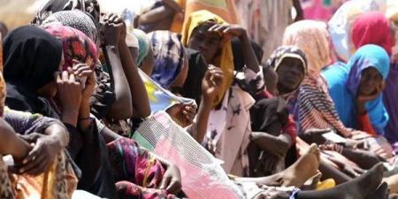 الاتحاد الإفريقي يدعو لوقف فوري لإطلاق النار في السودان وتوحيد جهود الوساطة