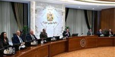 7 قرارات من مجلس الوزراء اليوم الأربعاء