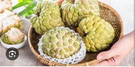 فوائد تناول فاكهة القشطة لعلاج السرطان