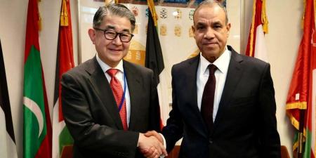 مصر واليابان تبحثان تعزيز التعاون التنموي والاستثماري بمشاركة "جايكا"