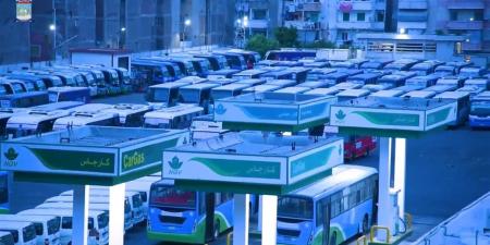 خطة تشغيل لتعويض مسار ترام الرمل بالإسكندرية.. أكثر من 180 مركبة لنقل الركاب يوميًا