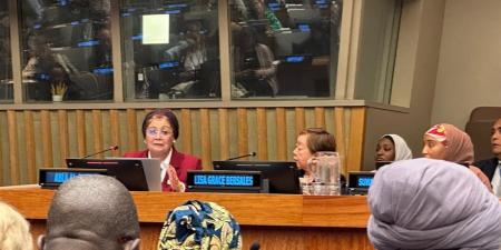 نائب وزير الصحة تعزز التعاون الدولي في نيويورك.. مصر تقدم تجربتها الرقمية للتنمية السكانية