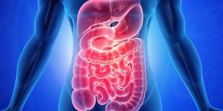 عدد مرات التبرز يكشف أسرارا عن صحة الأمعاء