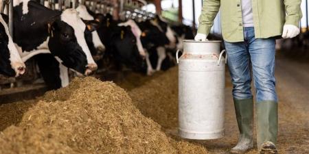 أسعار الجبن والألبان ومشتقاتها في محافظة القاهرة اليوم السبت 18 أبريل 2026