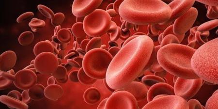 دراسة حديثة تربط نقص الحديد بزيادة خطر الخرف ومرض الزهايمر