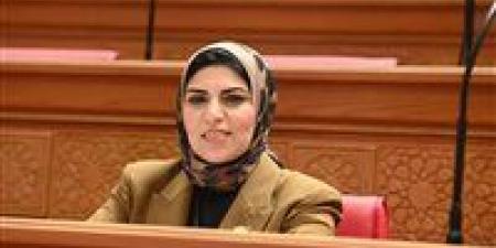 تعليم النواب تناقش طلب النائبة نهال أبو وافية حول أزمة خريجي التعليم المدمج والمفتوح .. الأربعاء المقبل