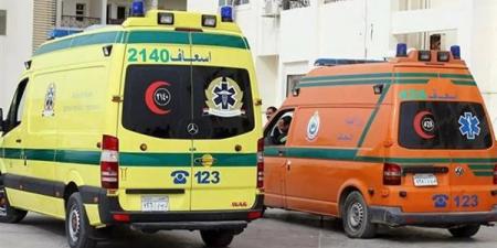 حادث مروع بالشرقية يحصد شابين ويصيب آخرين