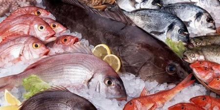 أسعار الأسماك والمأكولات البحرية في الدقهلية