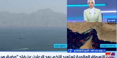خبير اقتصادي: فتح مضيق هرمز قد يدفع أسعار النفط للتراجع