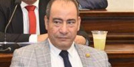 مجاهد نصار: توجيهات الرئيس السيسي بتطوير الإنتاج الحربي تعكس رؤية استراتيجية لتعزيز التصنيع الوطني