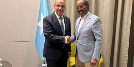 وزير الخارجية يلتقي الرئيس الصومالي ويؤكد مواصلة دعم مصر للصومال
