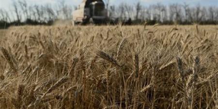 عاجل.. روسيا ترسل شحنة قمح إلى إيران عبر بحر قزوين